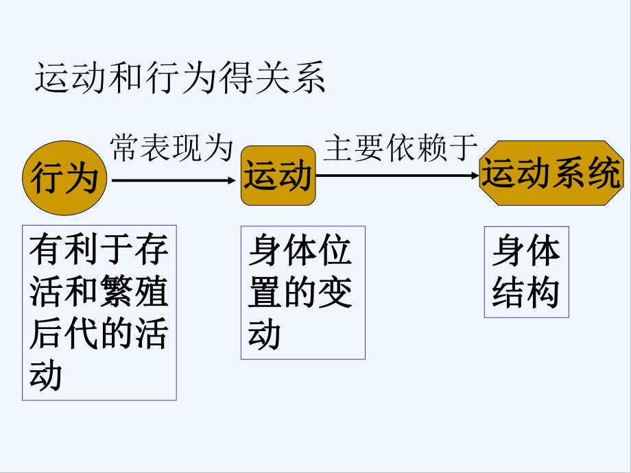 八级生物动物的运动.pptx_第3页