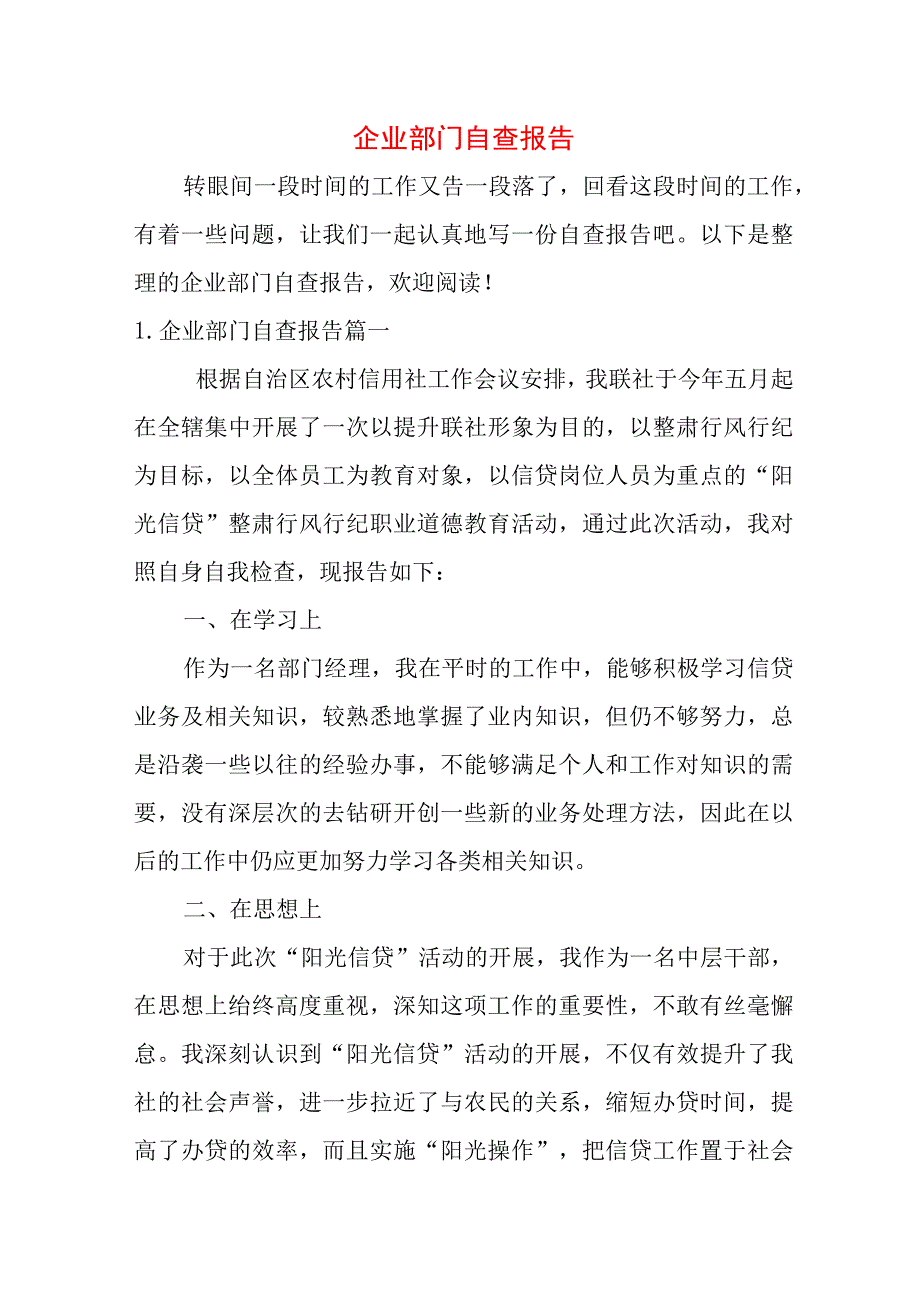 企业部门自查报告.docx_第1页