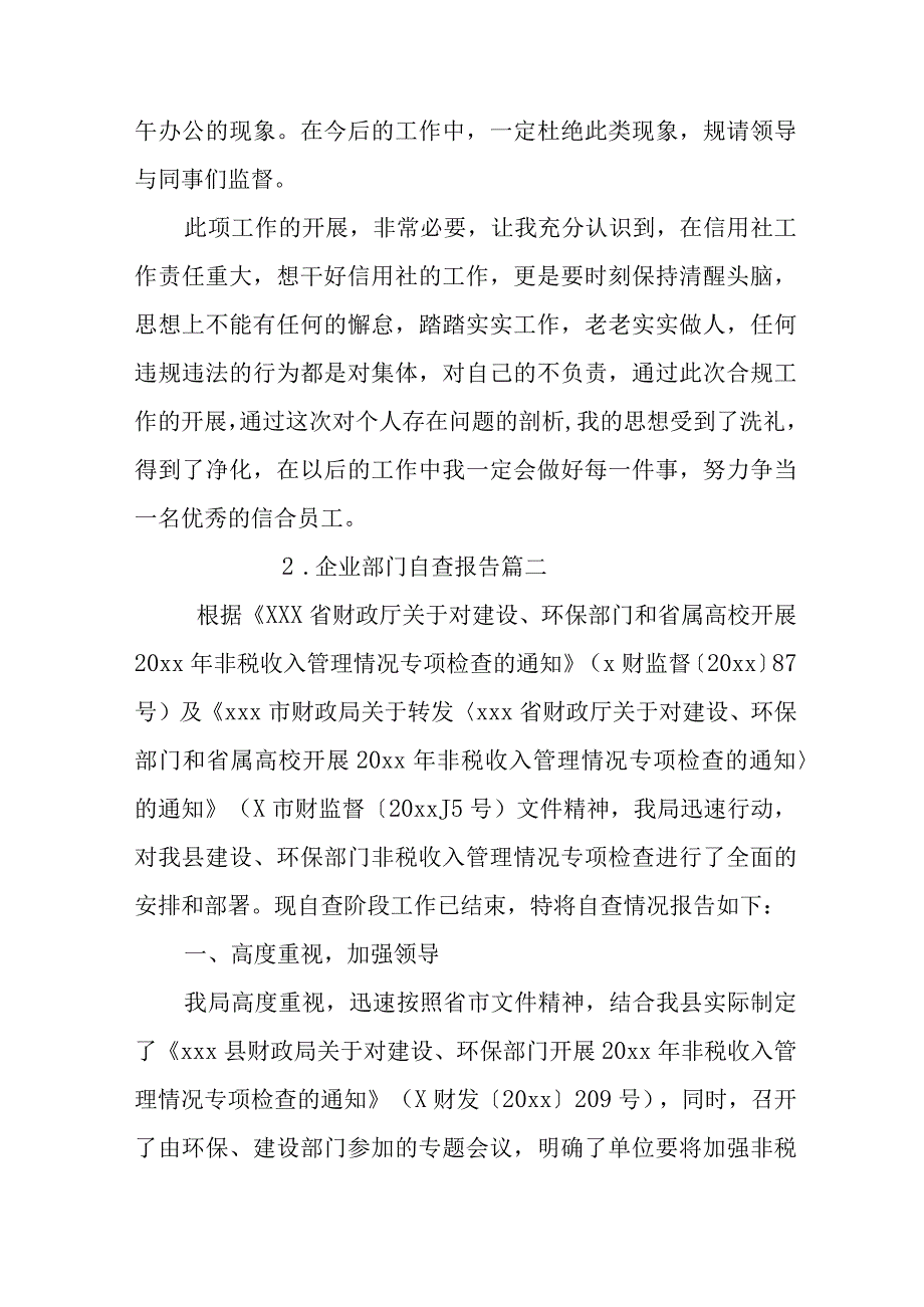 企业部门自查报告.docx_第3页