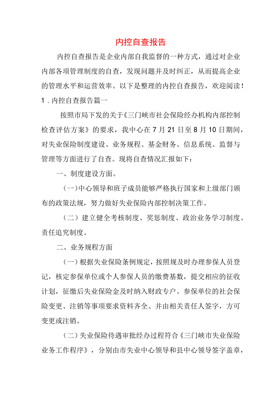 内控自查报告.docx_第1页