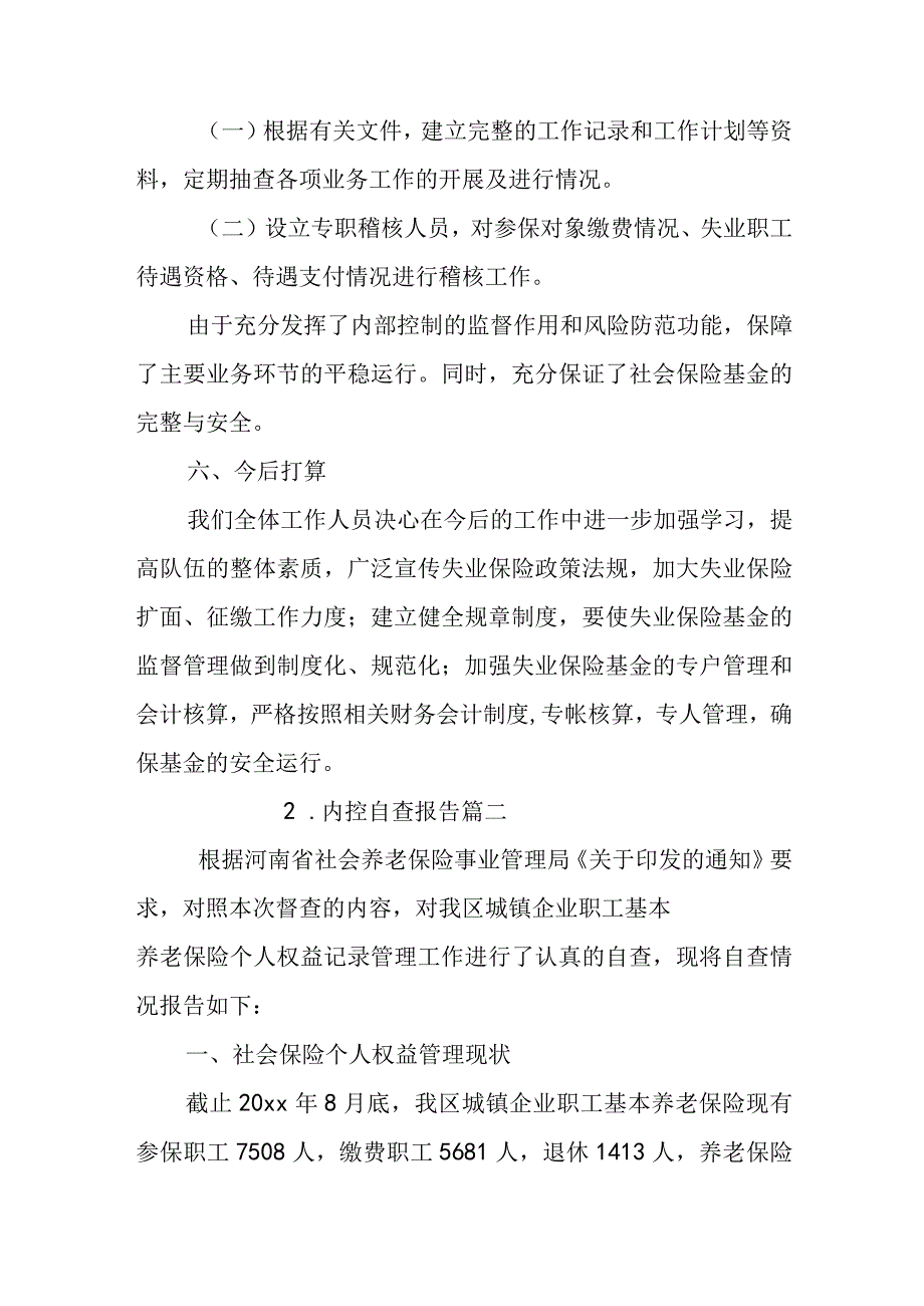 内控自查报告.docx_第3页