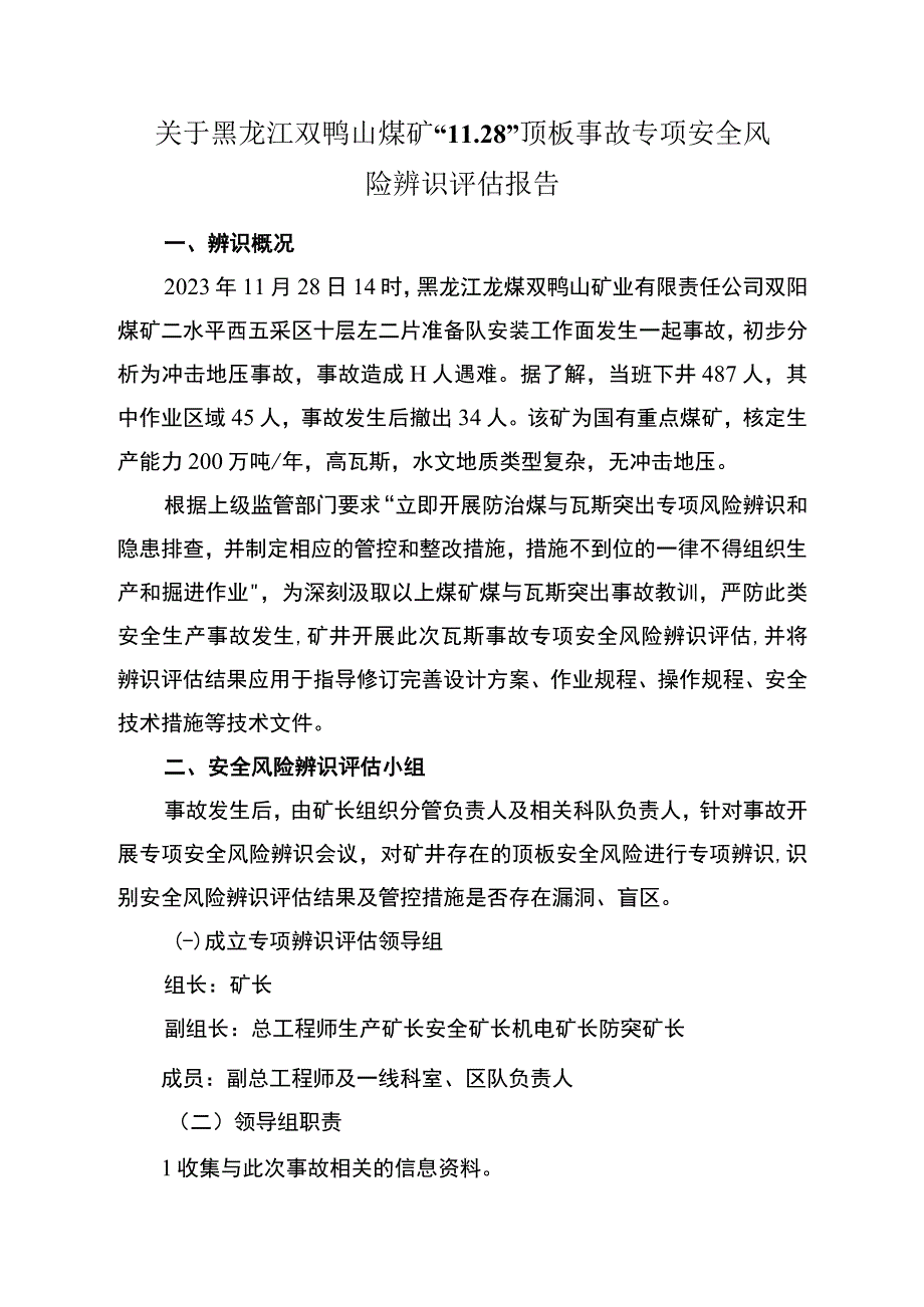 关于黑龙江双鸭山煤矿“11.28”顶板事故专项安全风险辨识评估报告.docx_第1页