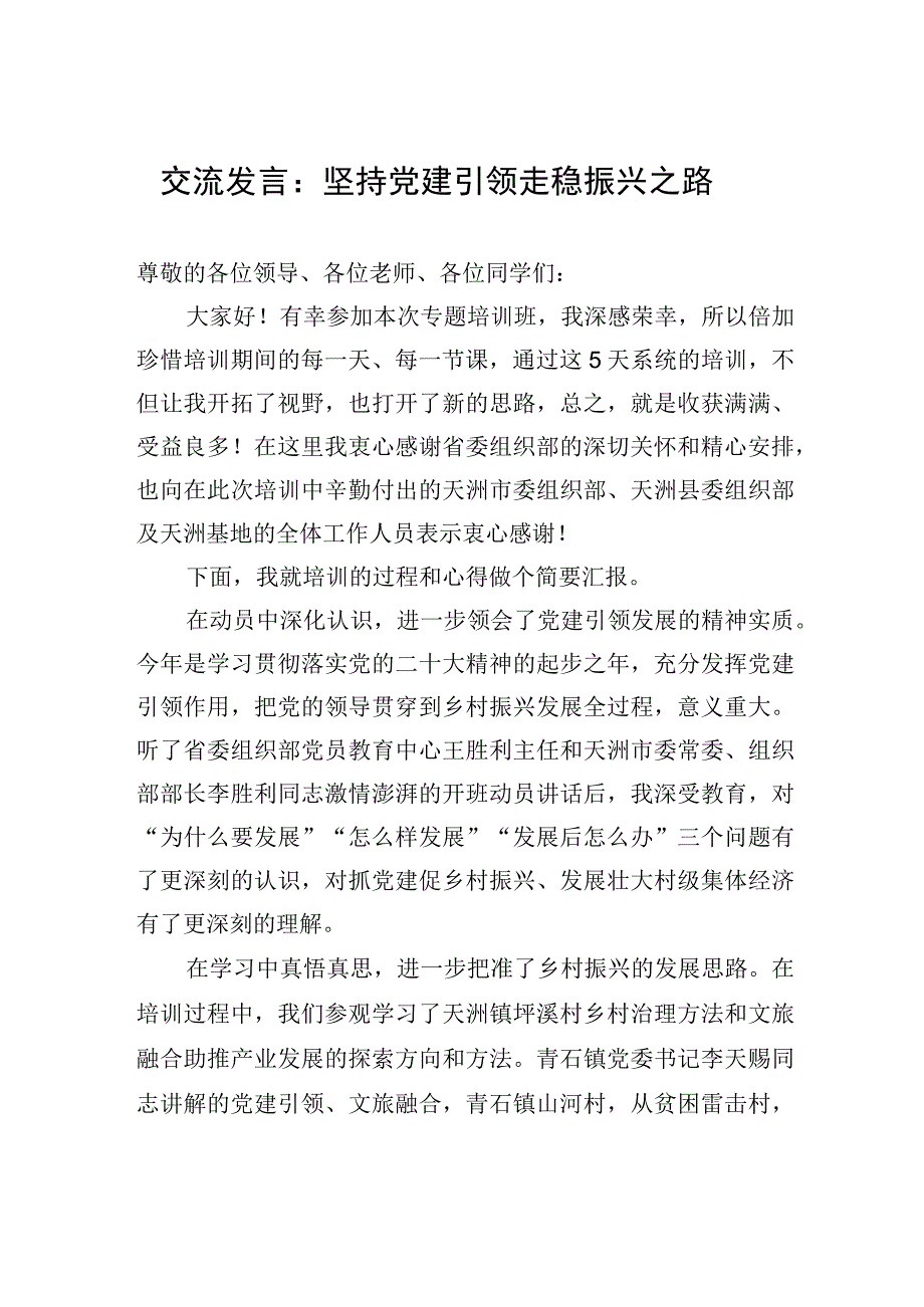 交流发言：坚持党建引领+走稳振兴之路.docx_第1页