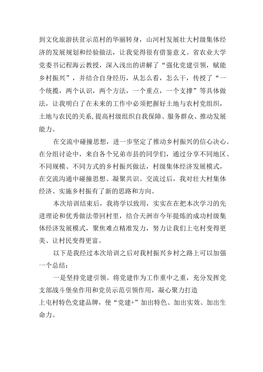 交流发言：坚持党建引领+走稳振兴之路.docx_第2页