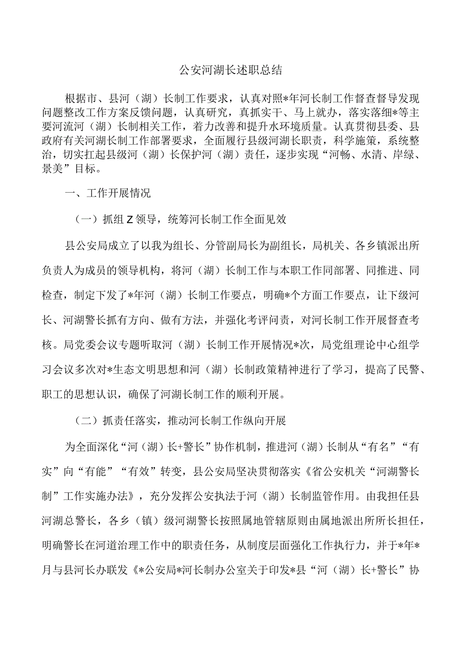 公安河湖长述职总结.docx_第1页