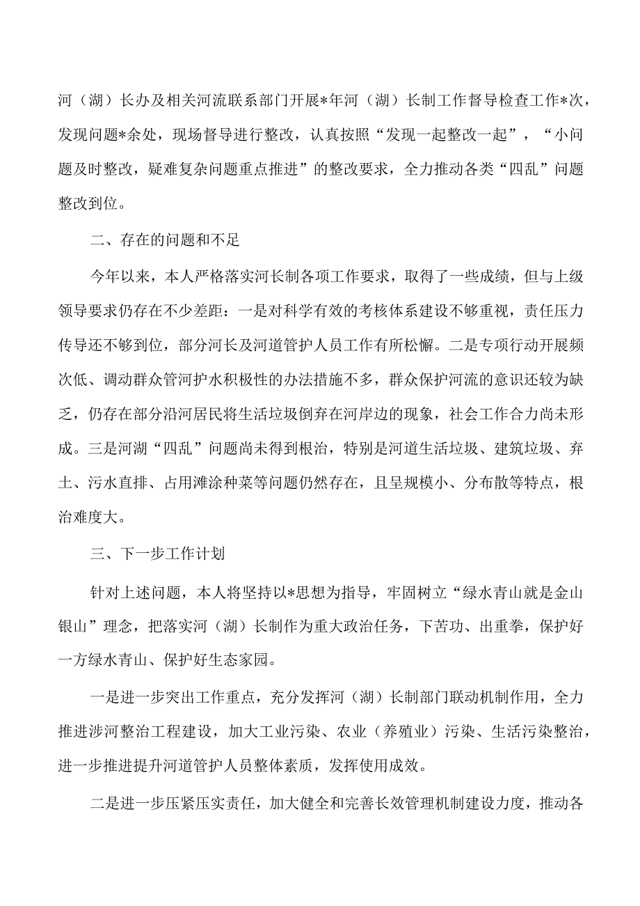 公安河湖长述职总结.docx_第3页