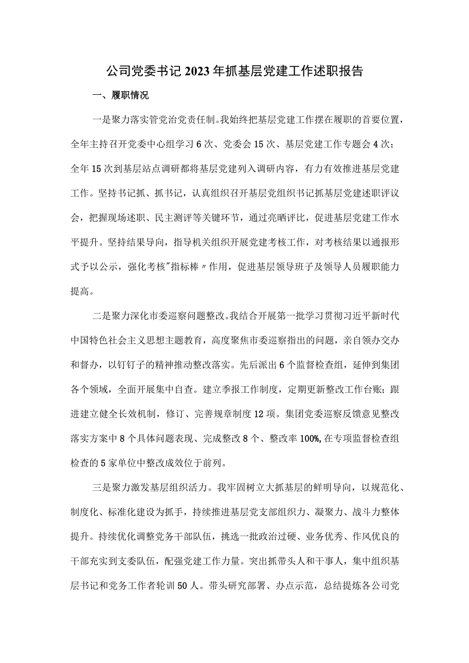 公司党委书记2023年抓基层党建工作述职报告.docx_第1页