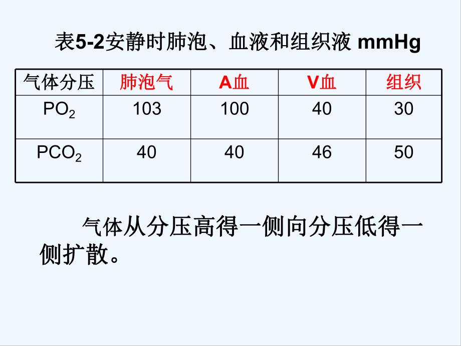 第五章呼吸气体交换.pptx_第3页