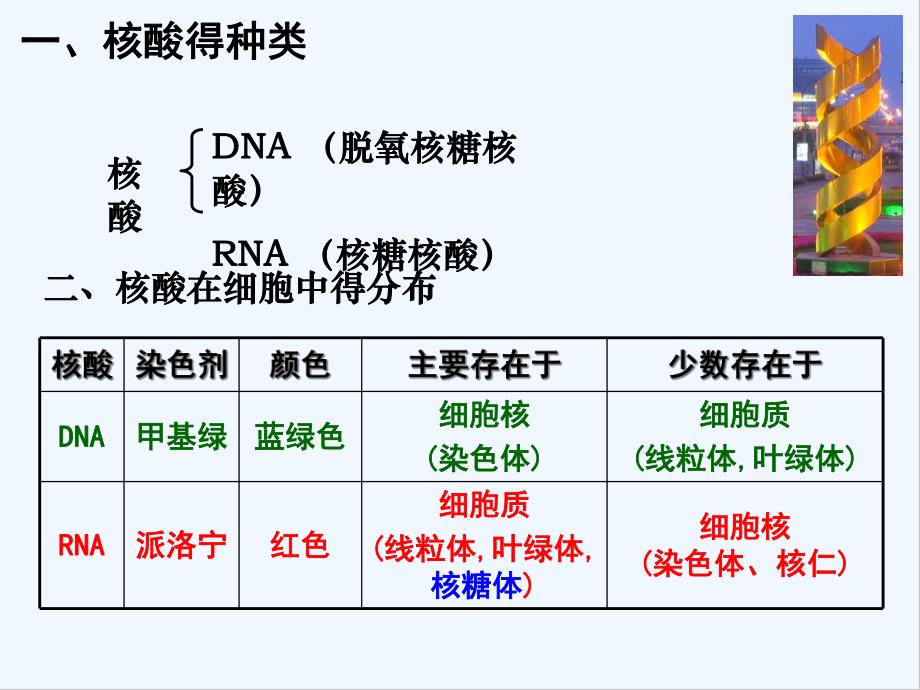 DNA的分子结构.pptx_第2页