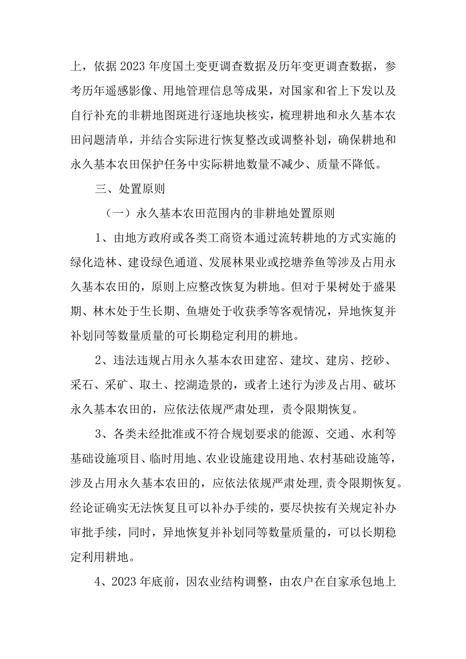 XX县耕地和永久基本农田划定成果核实处置工作实施方案.docx_第2页