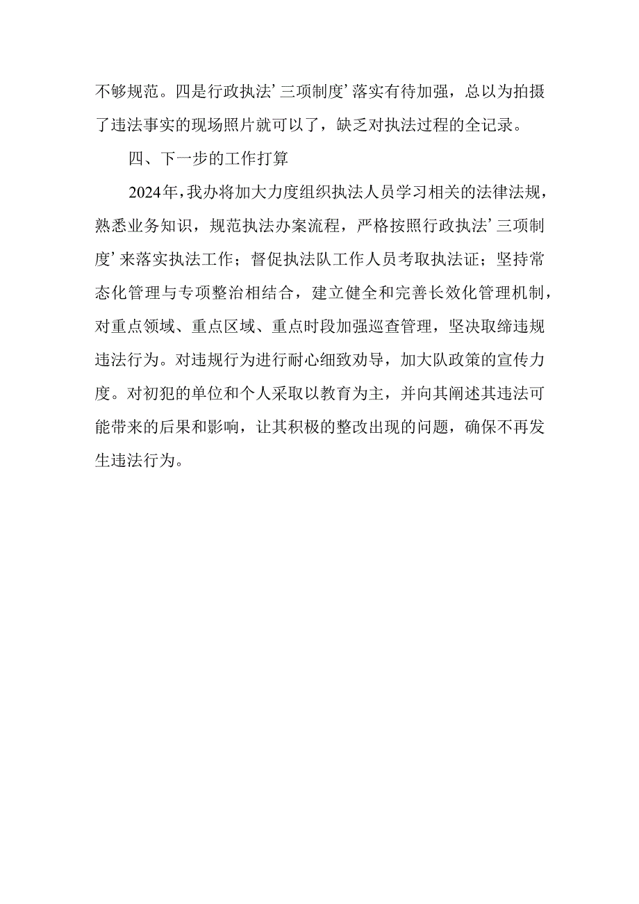 XX镇综合行政执法大队2023年 工作总结及下一步工作计划.docx_第3页