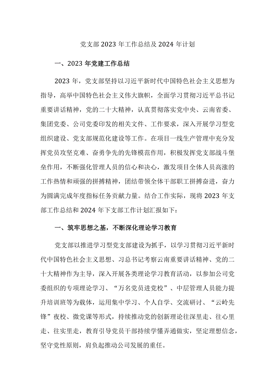 两篇：党支部2023年工作总结及2024年计划范文.docx_第1页