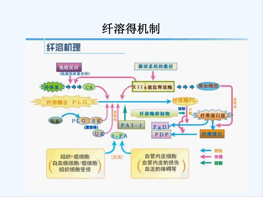 氨甲环酸在骨科中的应用情况.pptx_第3页