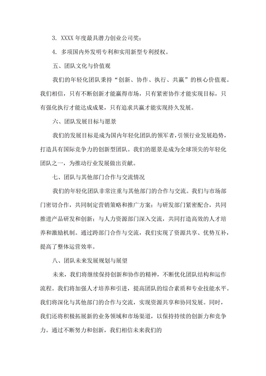 公司年轻化团队介绍模板.docx_第2页