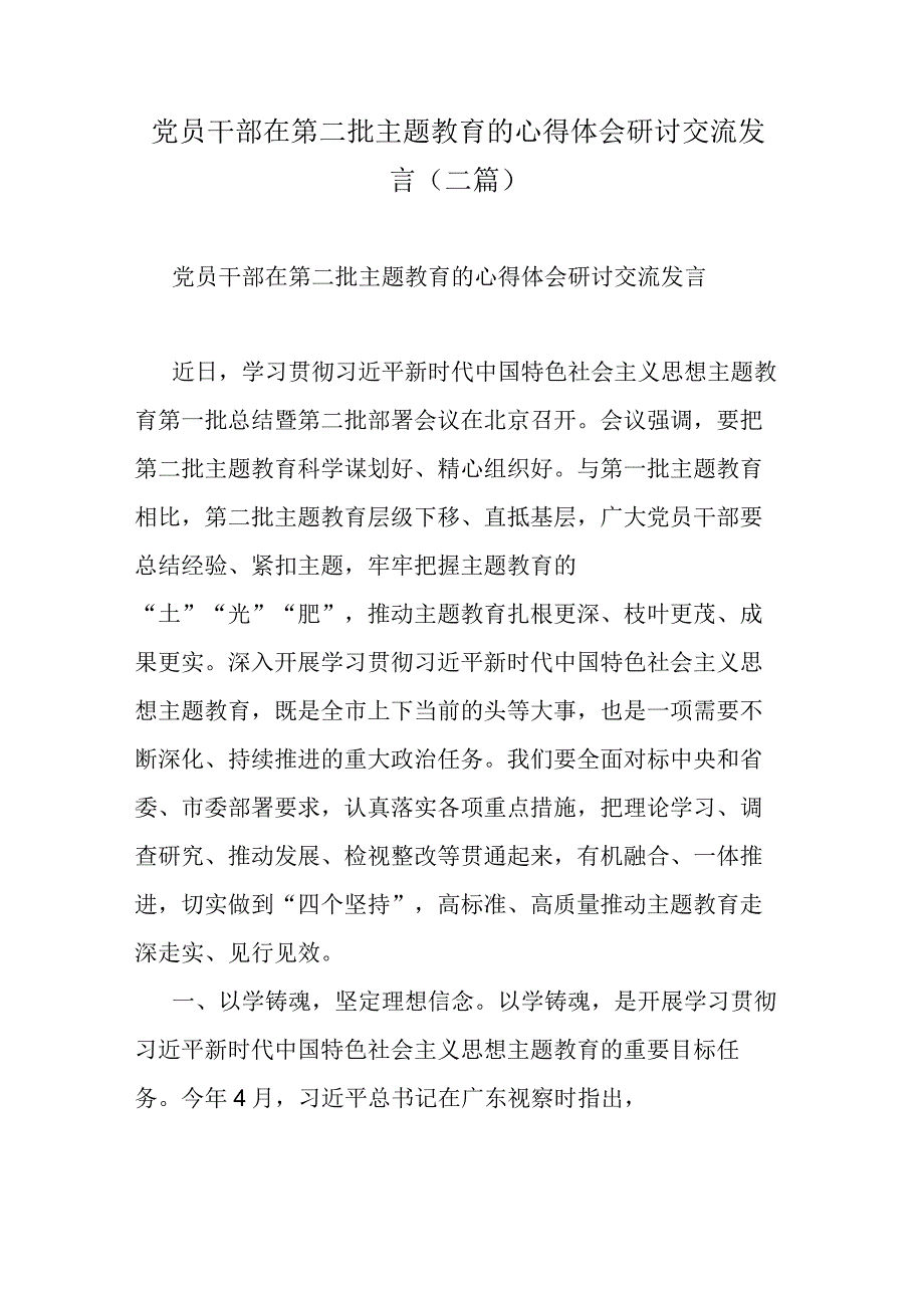 党员干部在第二批主题教育的心得体会研讨交流发言(二篇).docx_第1页