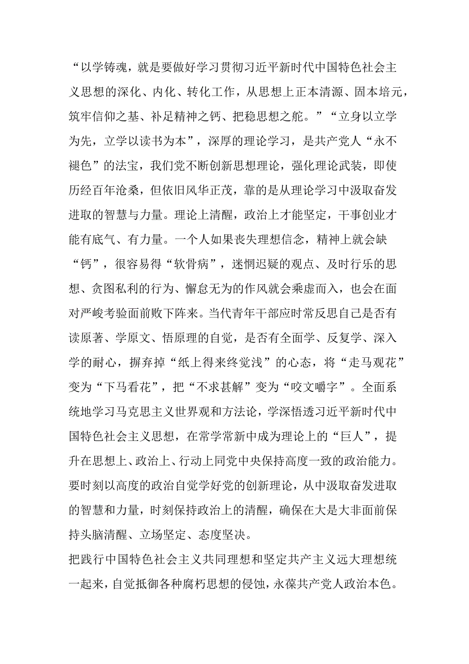 党员干部在第二批主题教育的心得体会研讨交流发言(二篇).docx_第2页