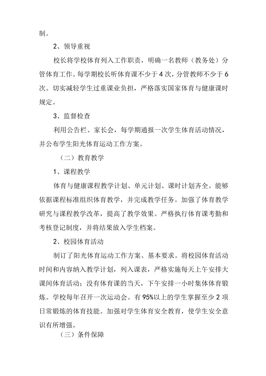 体育工作自查报告.docx_第2页