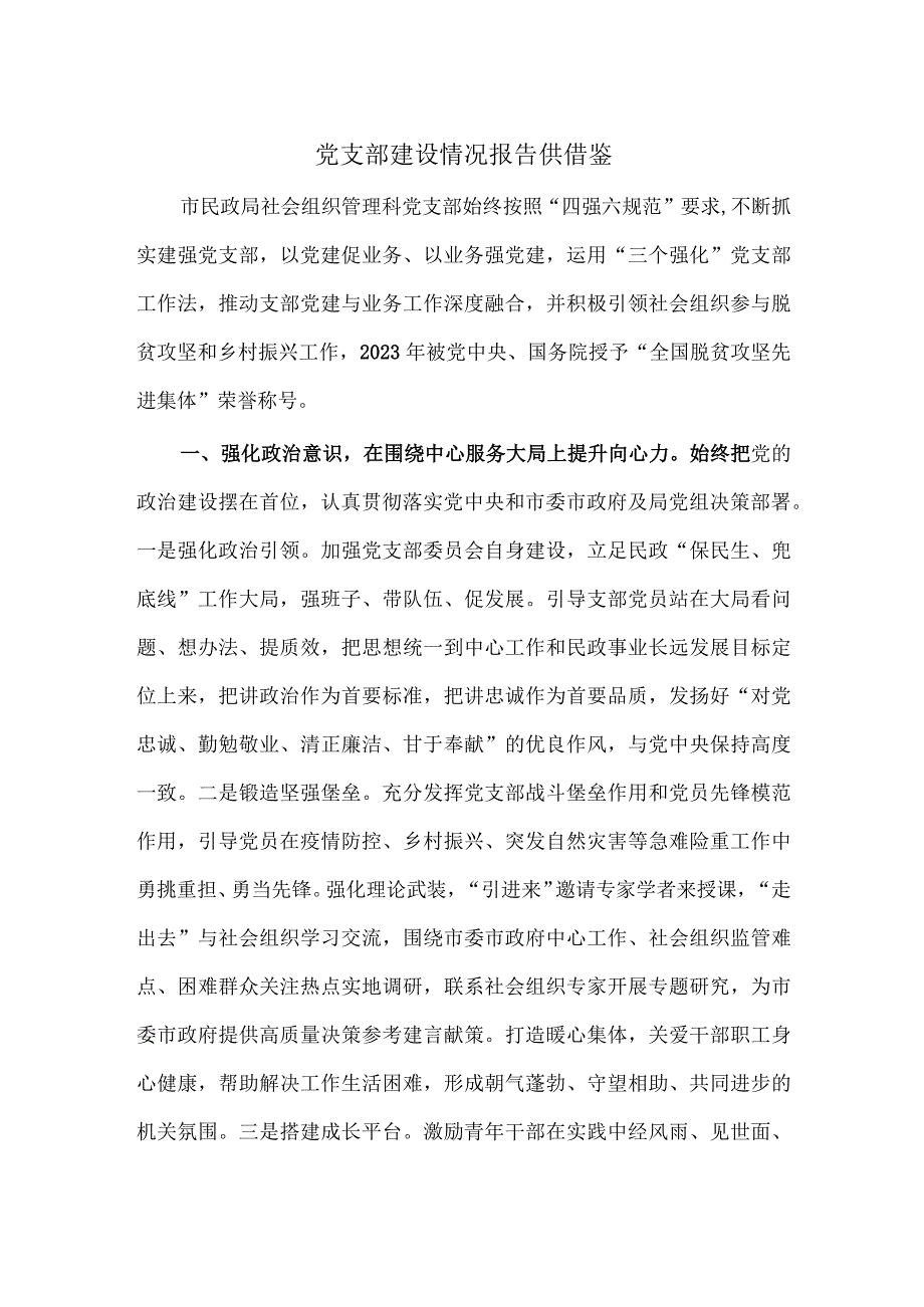 党支部建设情况报告供借鉴.docx_第1页