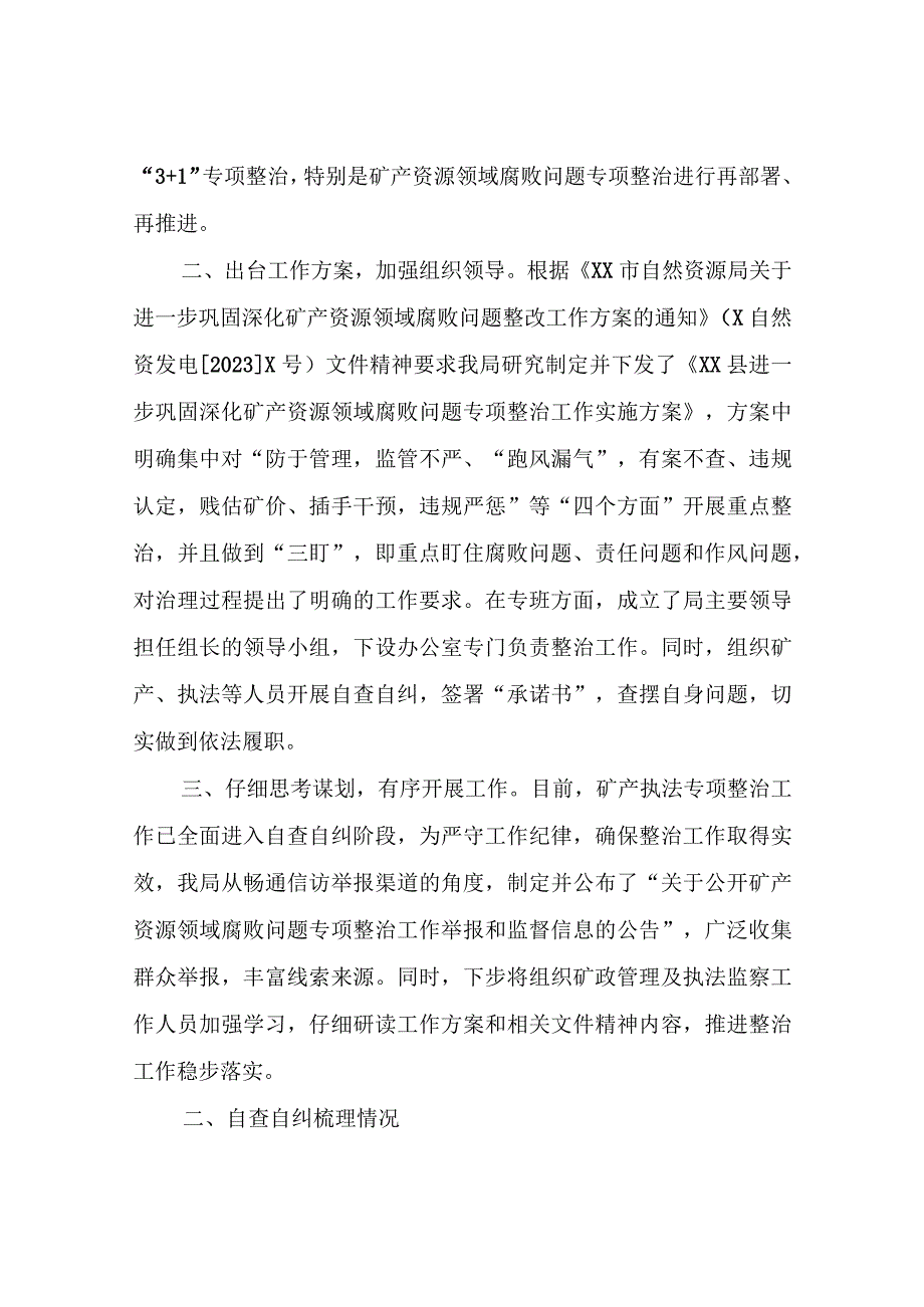 XX县自然资源局关于矿产执法专项整治工作自查自纠情况报告.docx_第2页