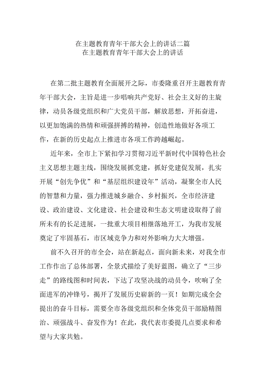 在主题教育青年干部大会上的讲话二篇.docx_第1页