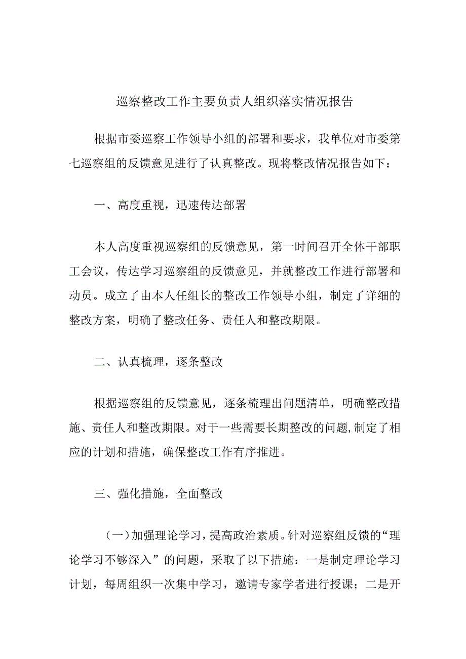 巡察整改工作主要负责人组织落实情况报告.docx_第1页