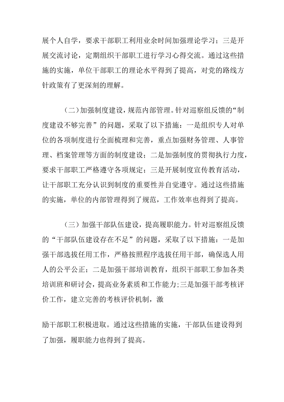 巡察整改工作主要负责人组织落实情况报告.docx_第2页