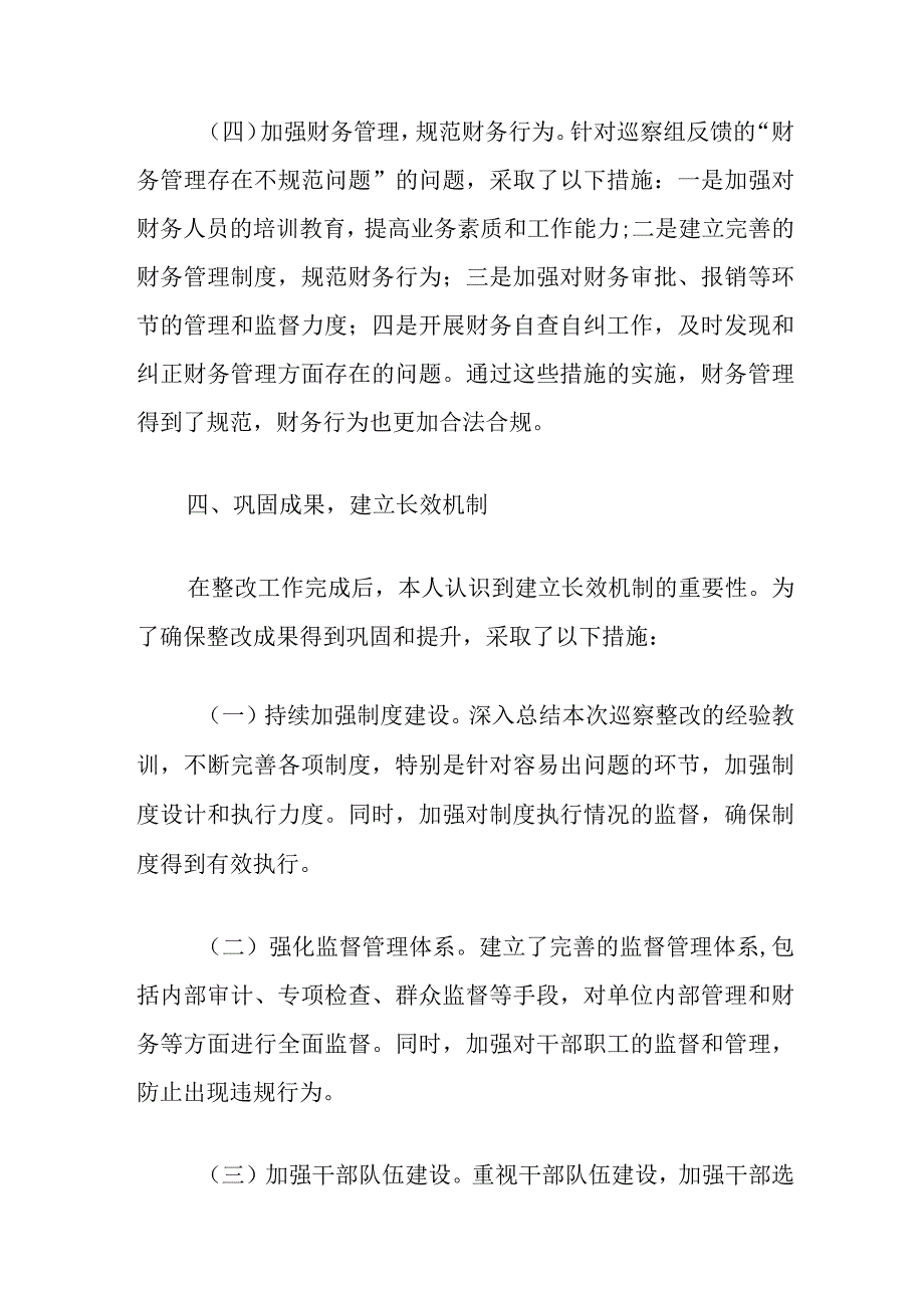 巡察整改工作主要负责人组织落实情况报告.docx_第3页