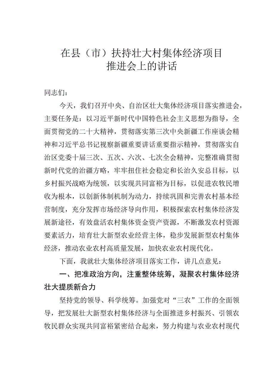 在县（市）扶持壮大村集体经济项目推进会上的讲话.docx_第1页