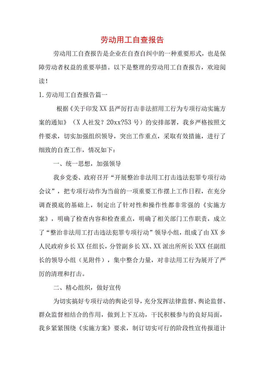 劳动用工自查报告.docx_第1页