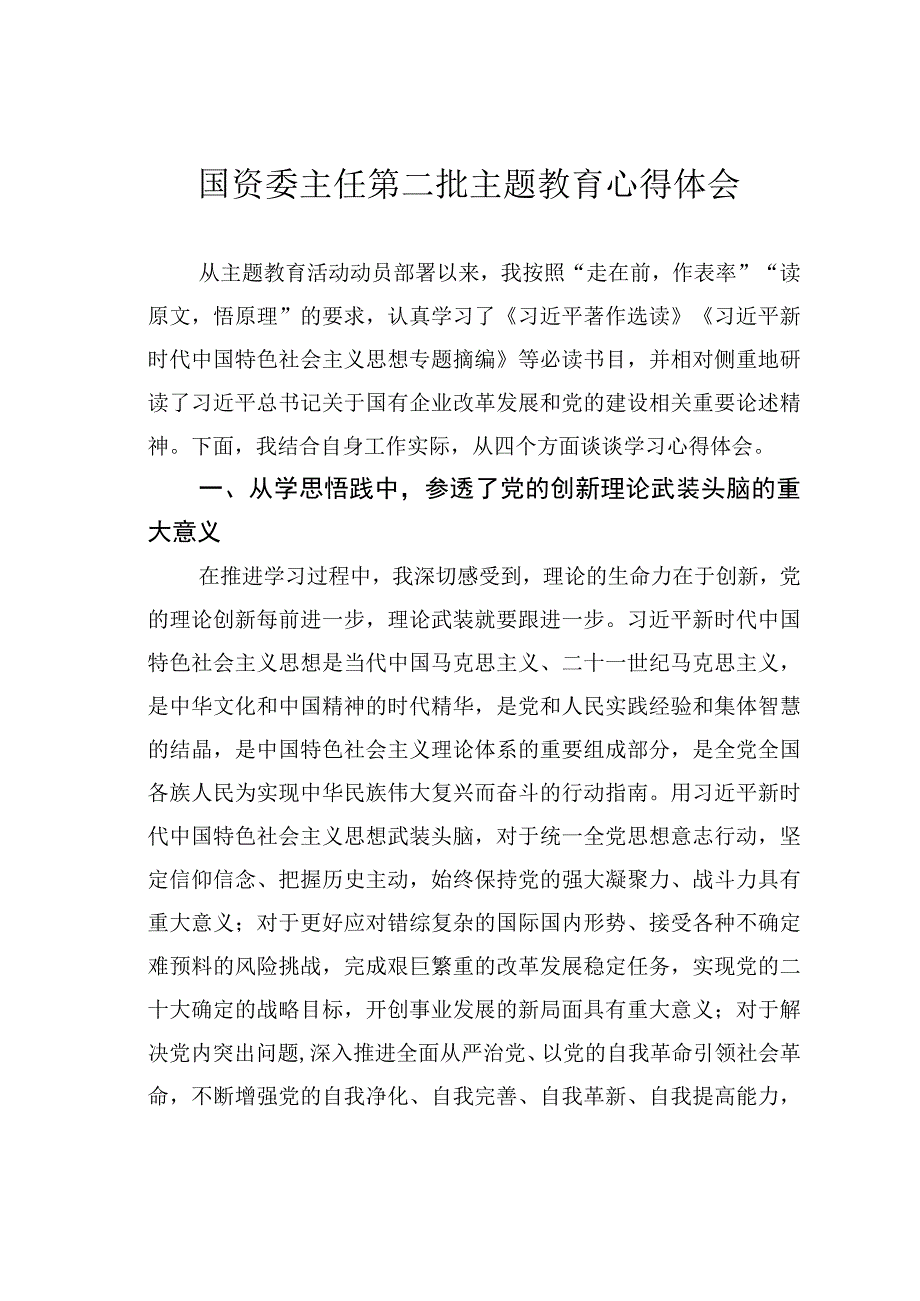 国资委主任第二批主题教育心得体会.docx_第1页