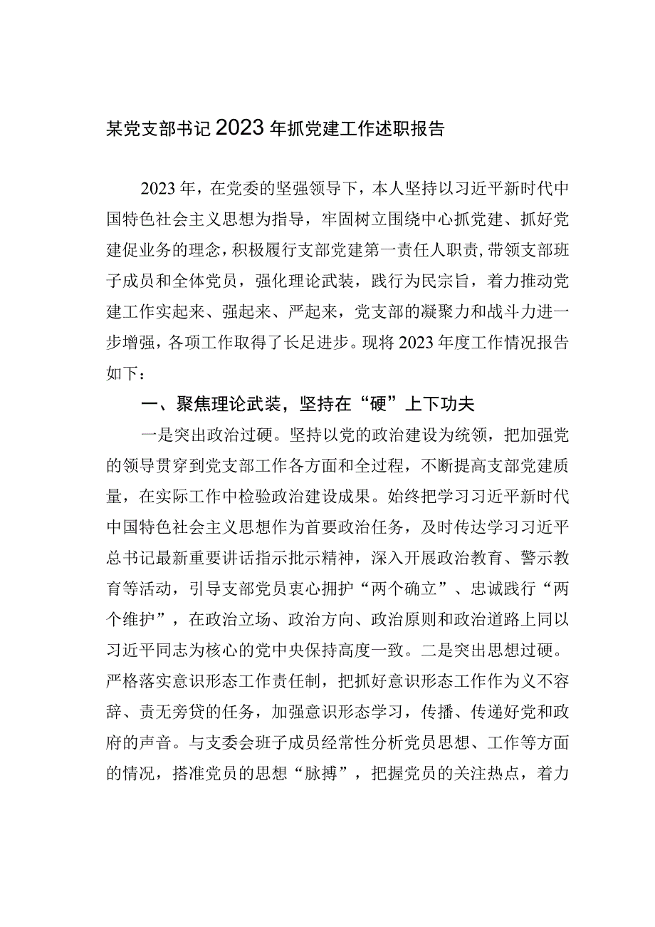 某党支部书记2023年抓党建工作述职报告.docx_第1页