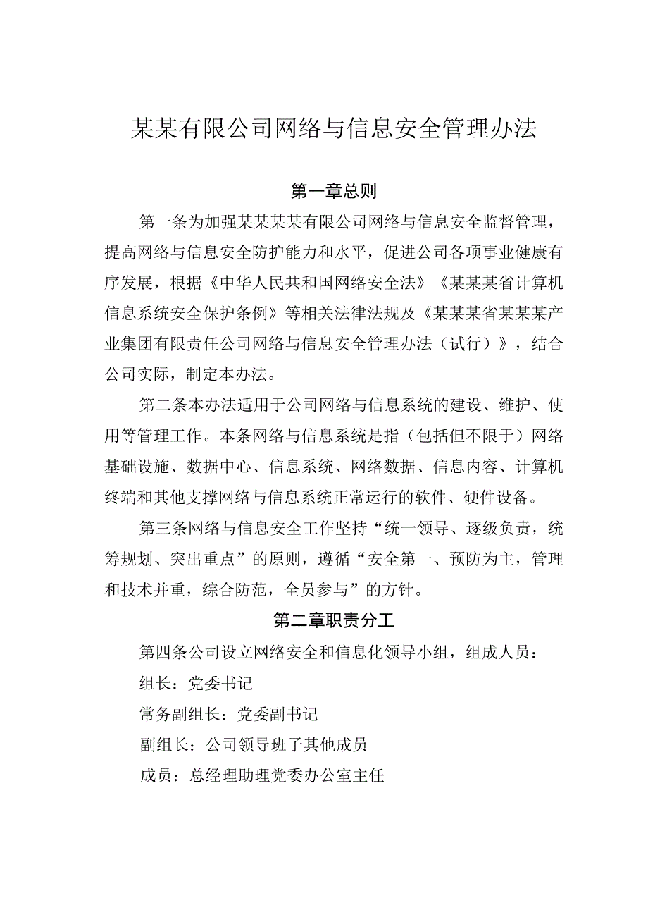 某某有限公司网络与信息安全管理办法.docx_第1页