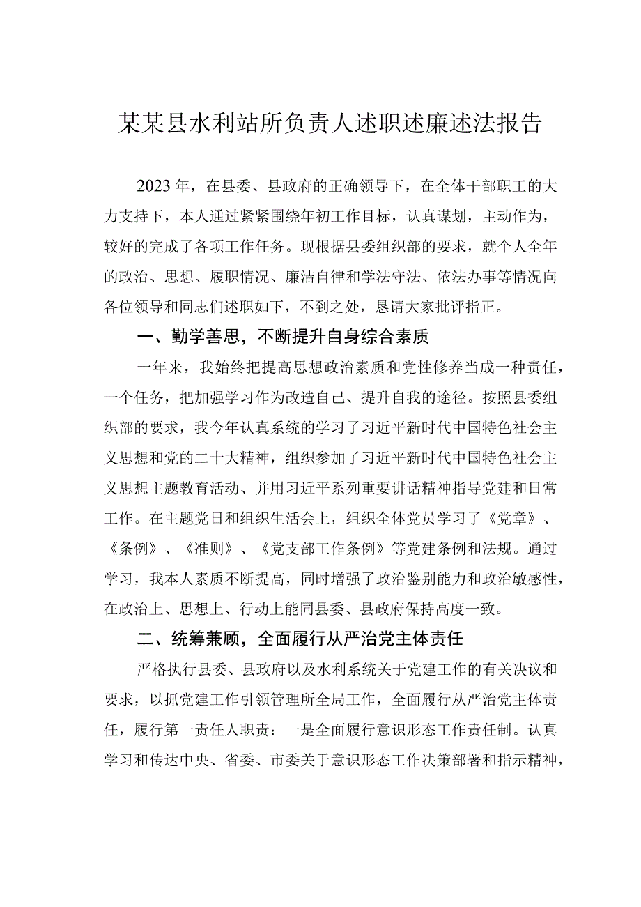 某某县水利站所负责人述职述廉述法报告.docx_第1页