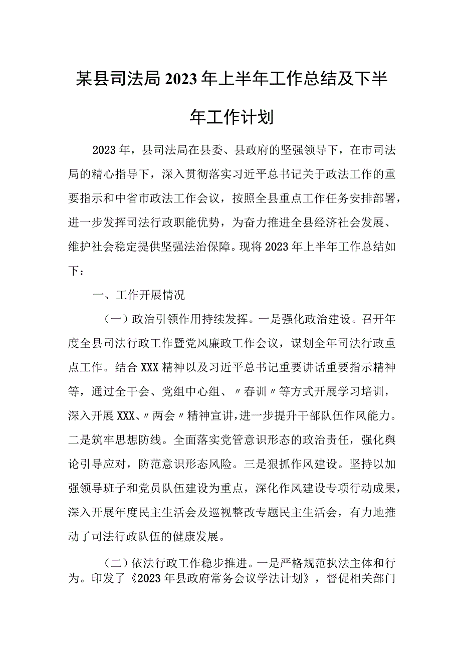 某县司法局2023年上半年工作总结及下半年工作计划.docx_第1页