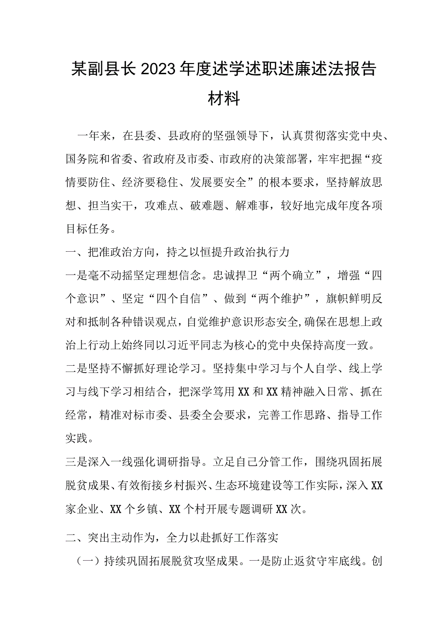 某副县长2022年度述学述职述廉述法报告材料.docx_第1页