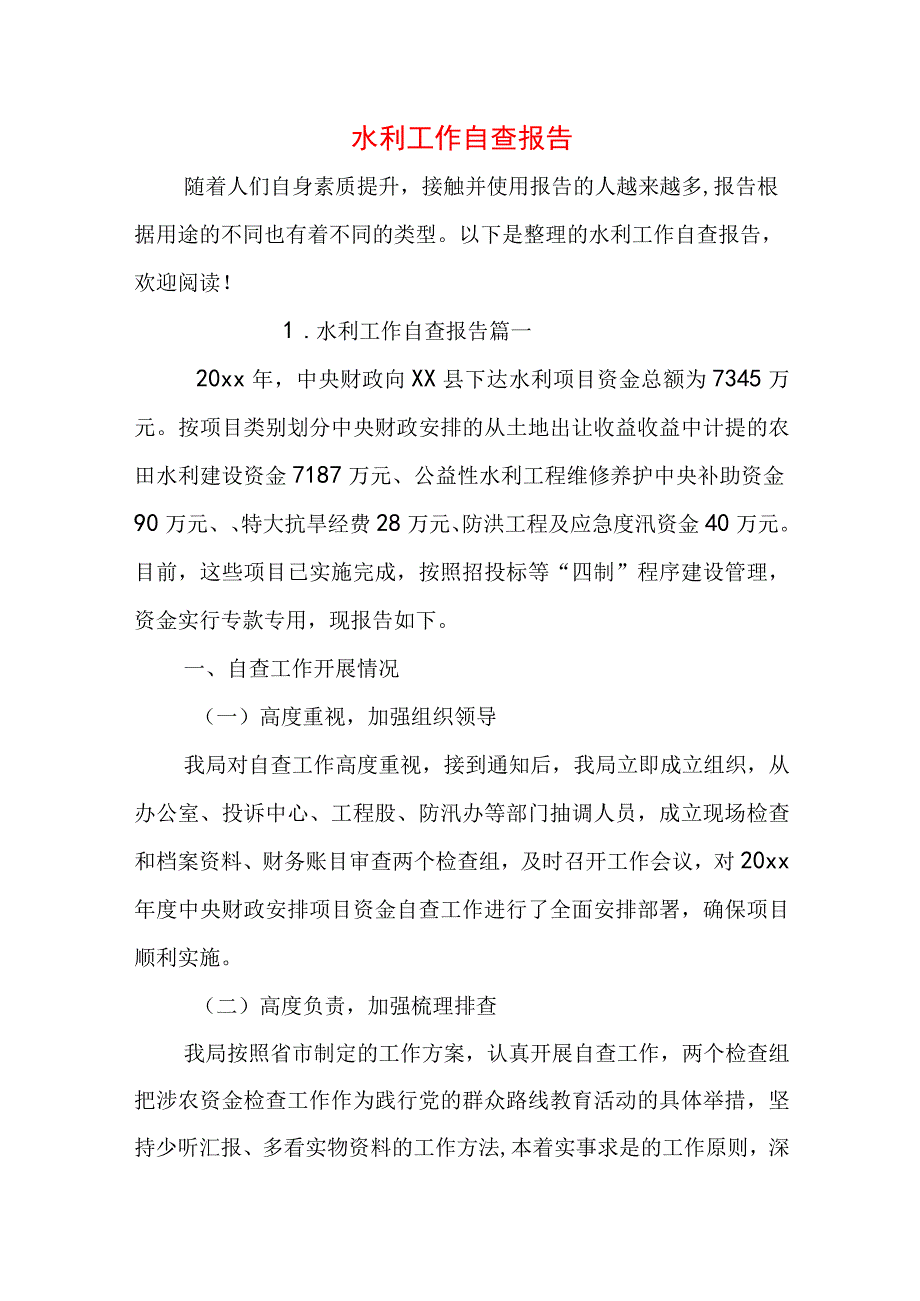 水利工作自查报告.docx_第1页