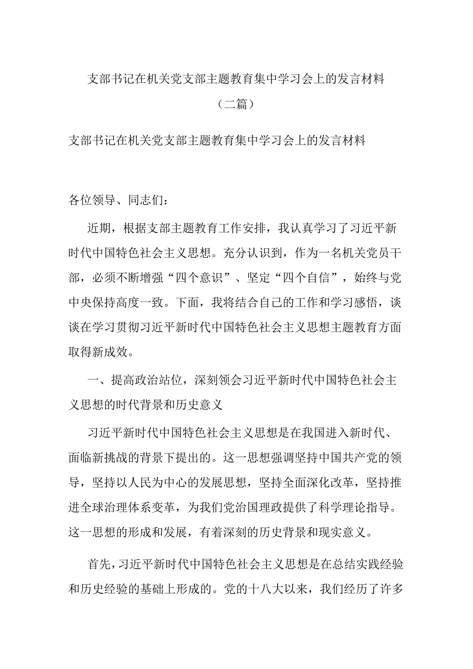 支部书记在机关党支部主题教育集中学习会上的发言材料(二篇).docx_第1页