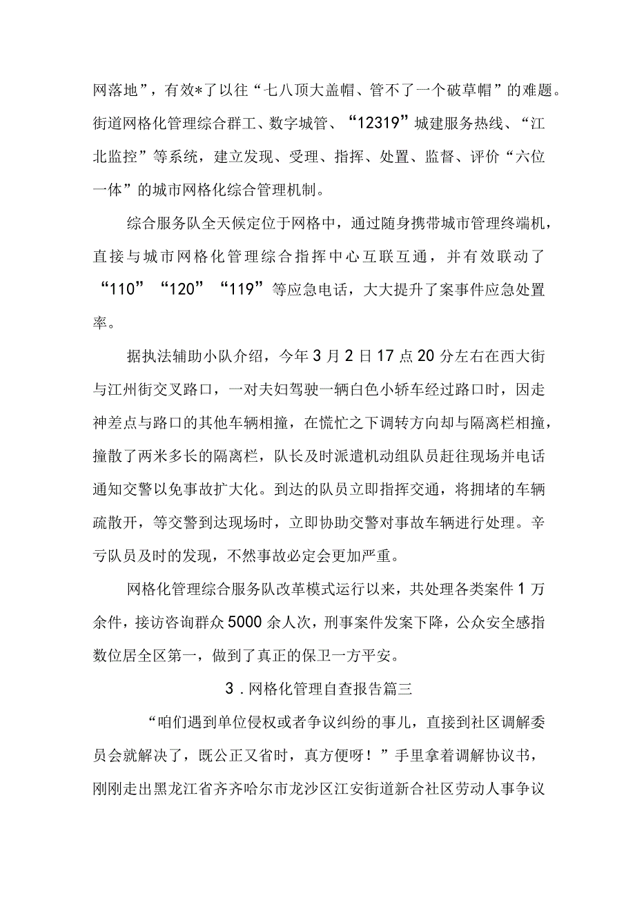 网格化管理自查报告.docx_第3页