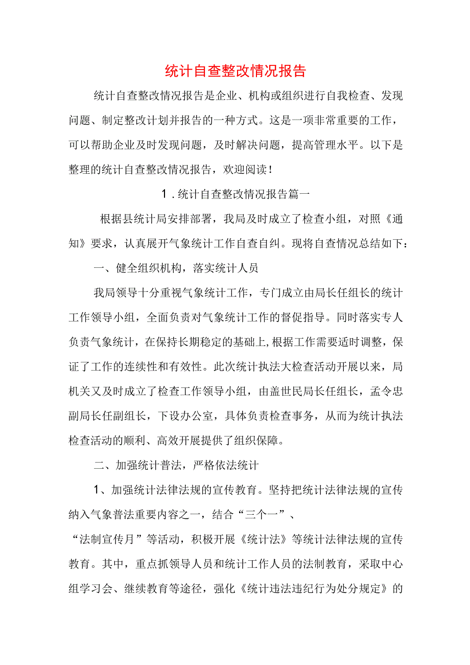 统计自查整改情况报告.docx_第1页