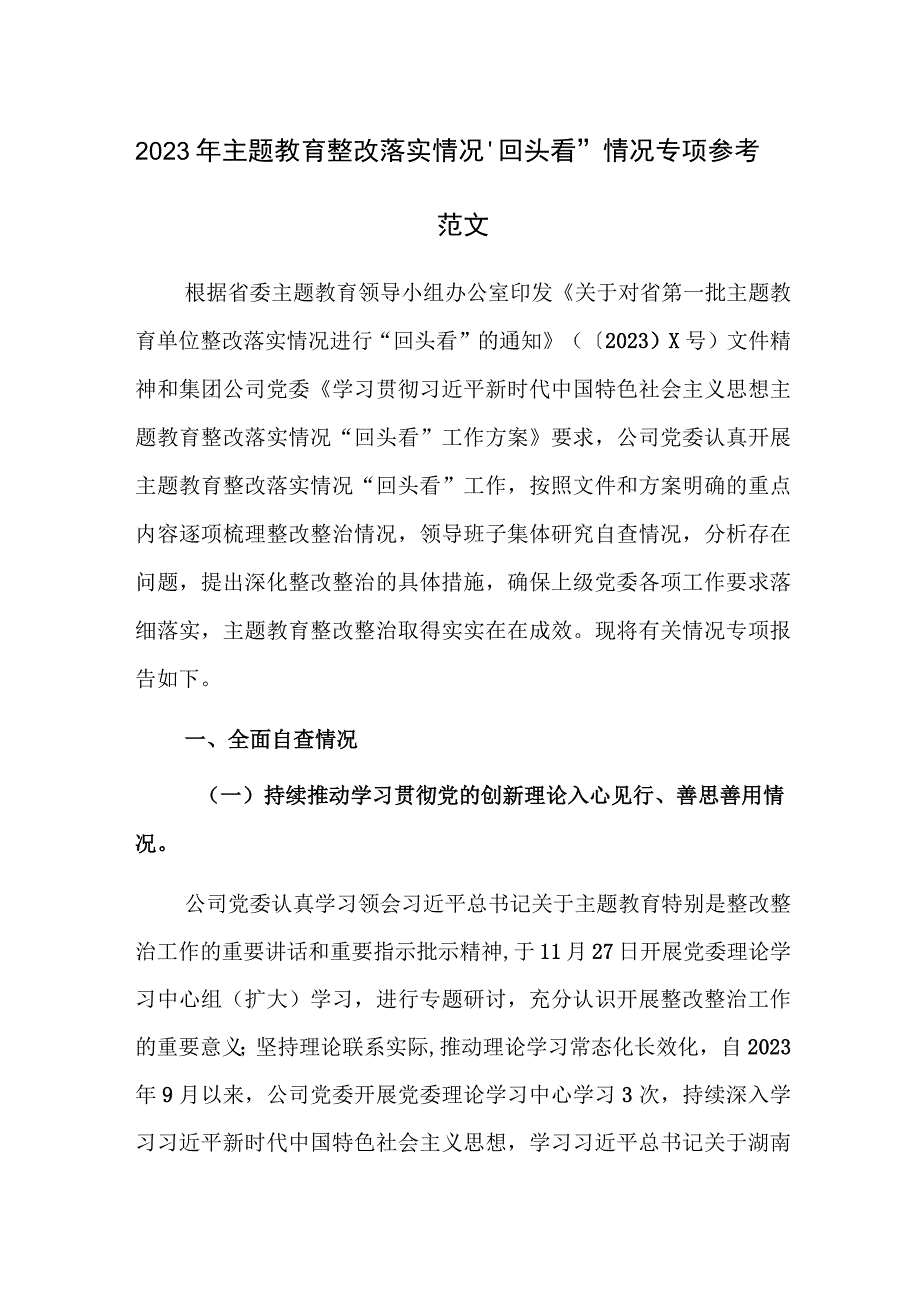 2023年主题教育整改落实情况“回头看”情况汇报范文.docx_第1页