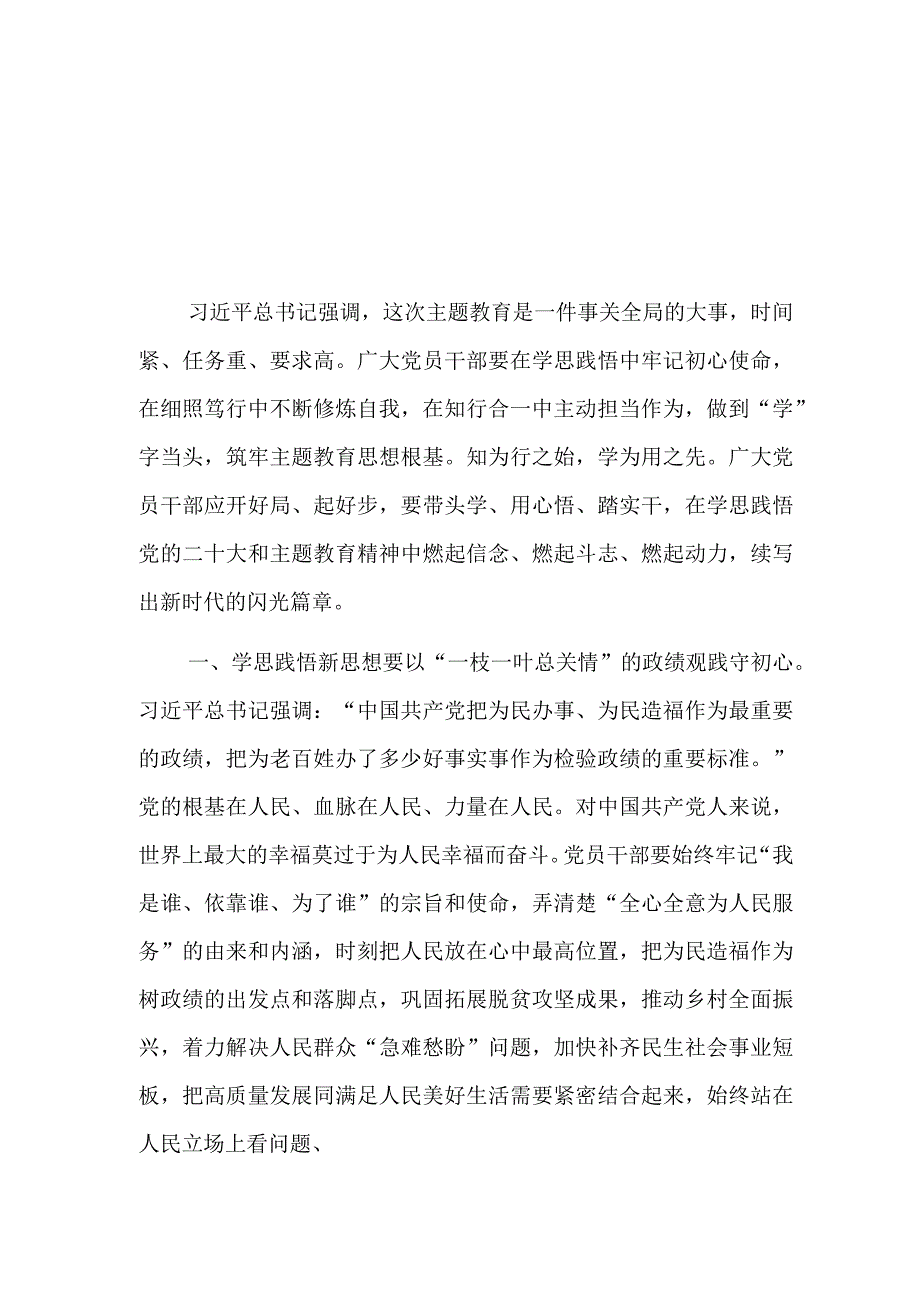 2023年学习交流发言：学思践悟勇担当 砥砺奋进新征程.docx_第1页