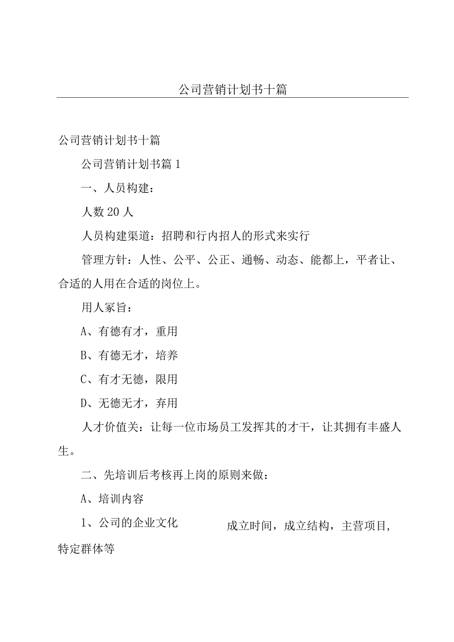 公司营销计划书十篇.docx_第1页