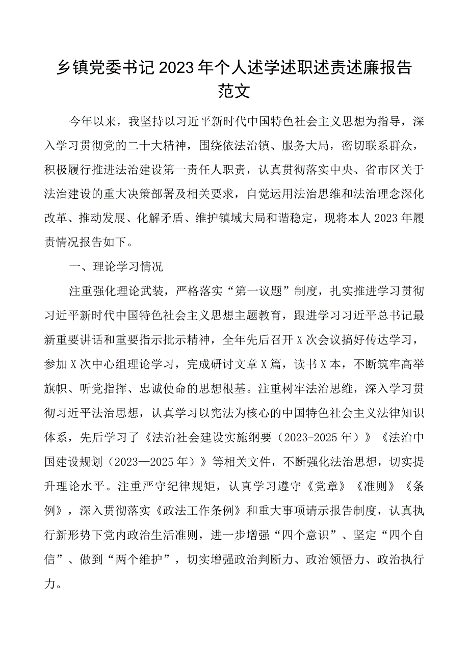 x委书记2023年个人述学述职述责述廉报告团队工作总结汇报.docx_第1页