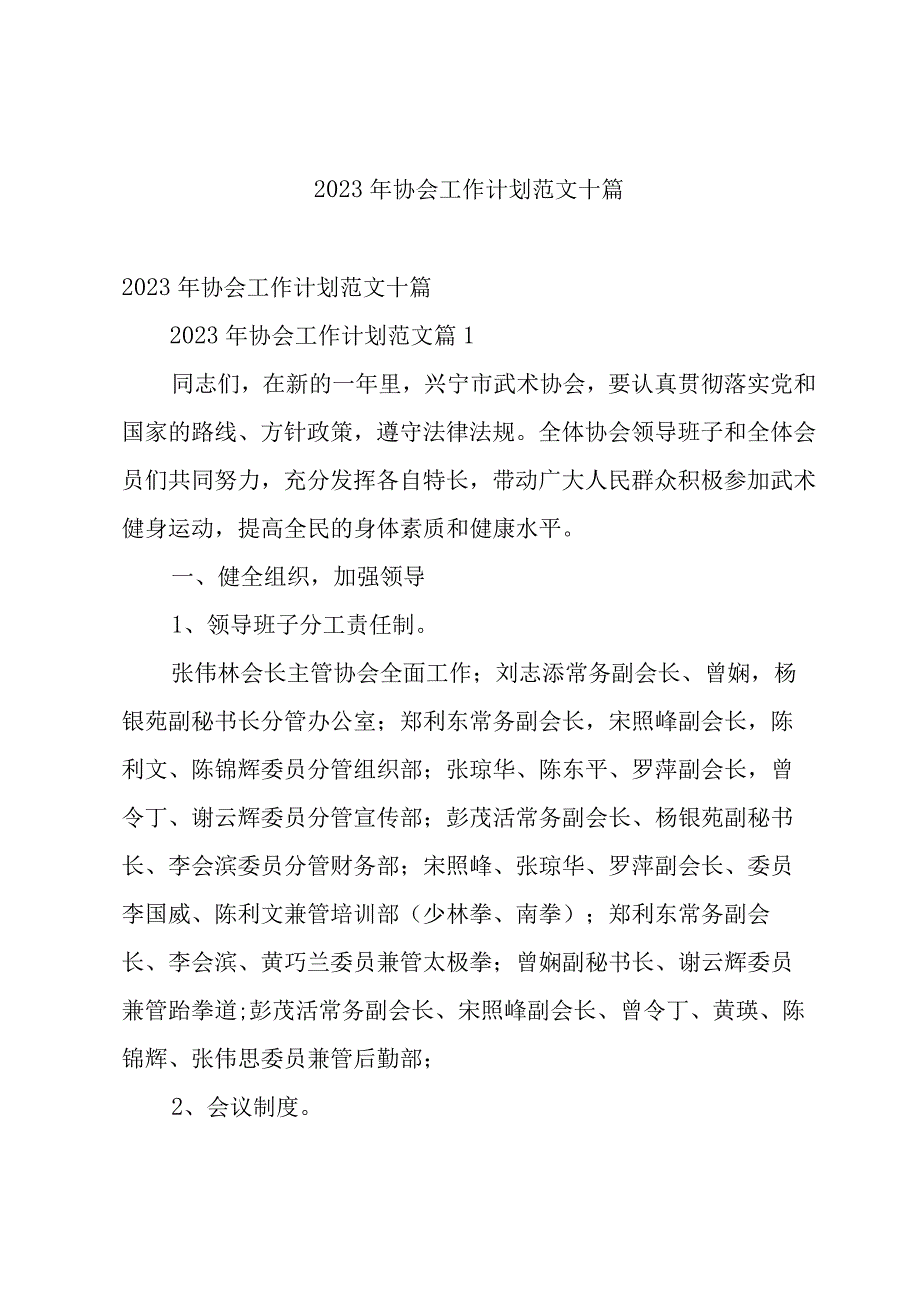 2023年协会工作计划范文十篇.docx_第1页