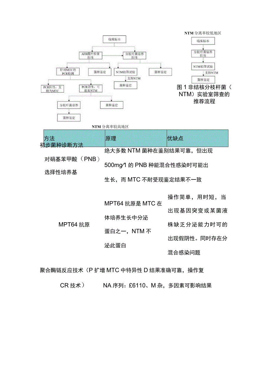 2024非结核分枝杆菌知识科普.docx_第3页