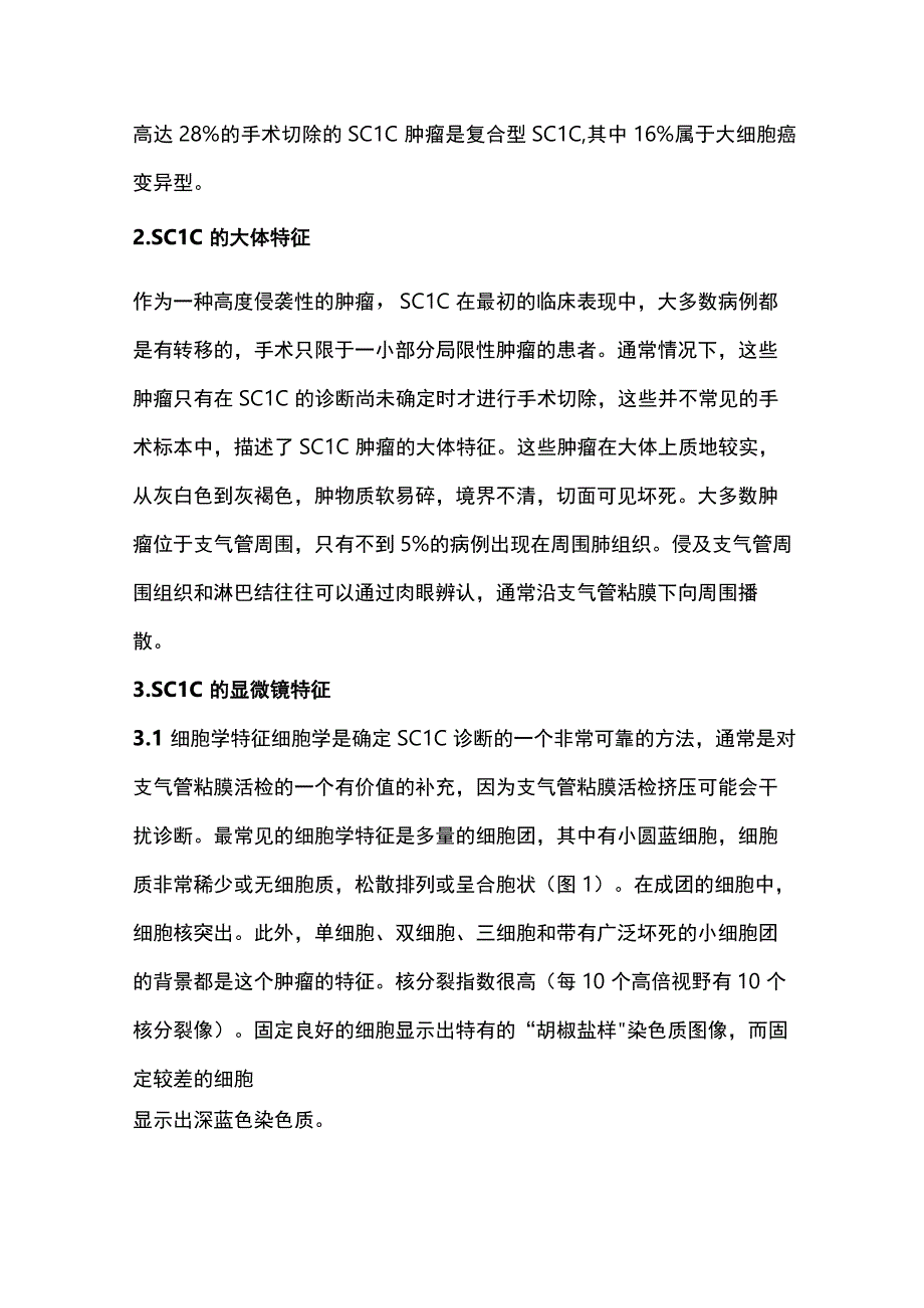 2024小细胞肺癌病理诊断要点.docx_第2页