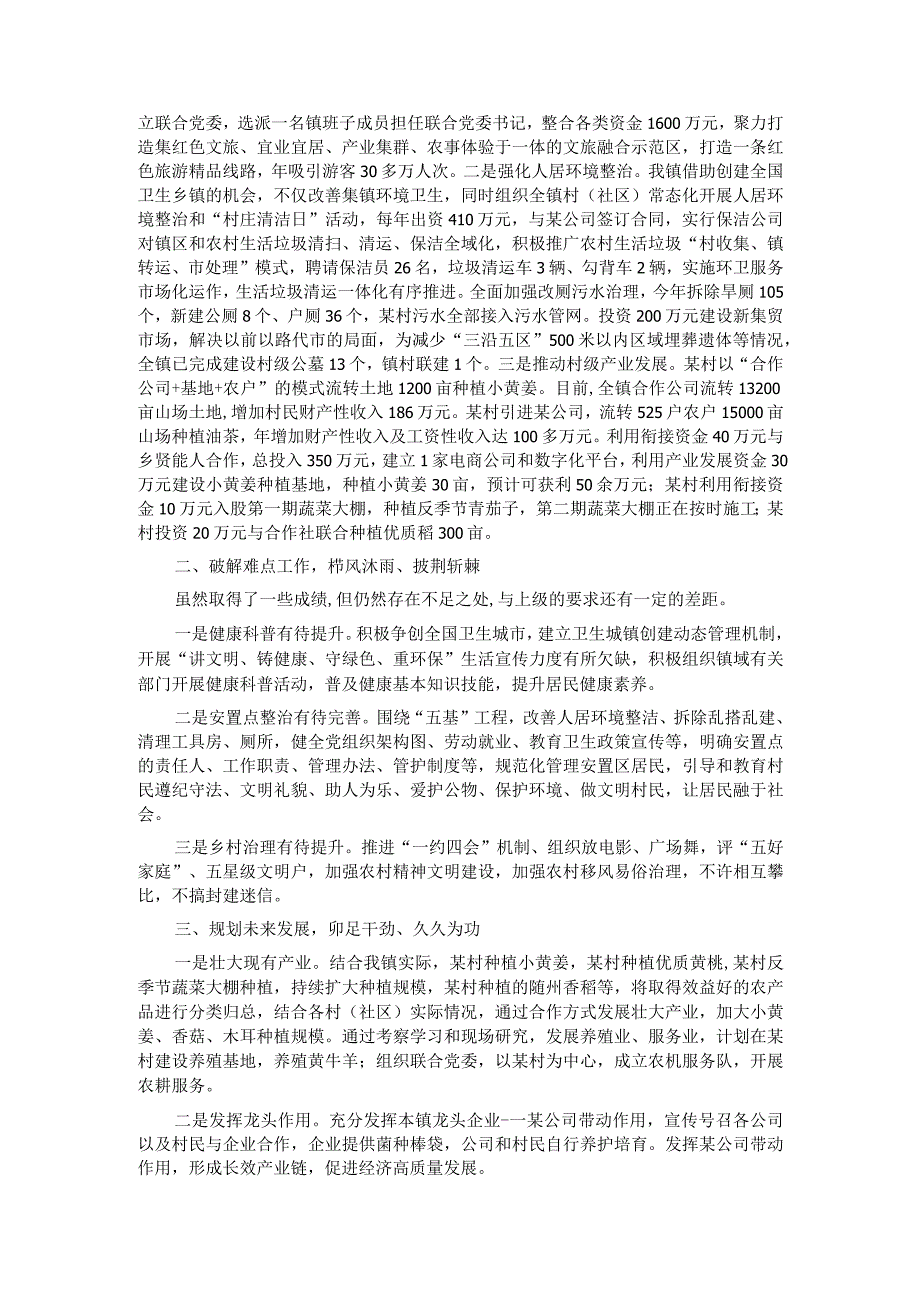 某镇2023年度实施乡村振兴战略专题报告.docx_第2页