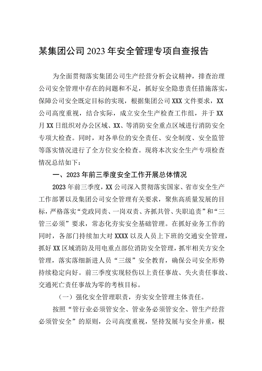 某集团公司2023年安全管理专项自查报告.docx_第1页