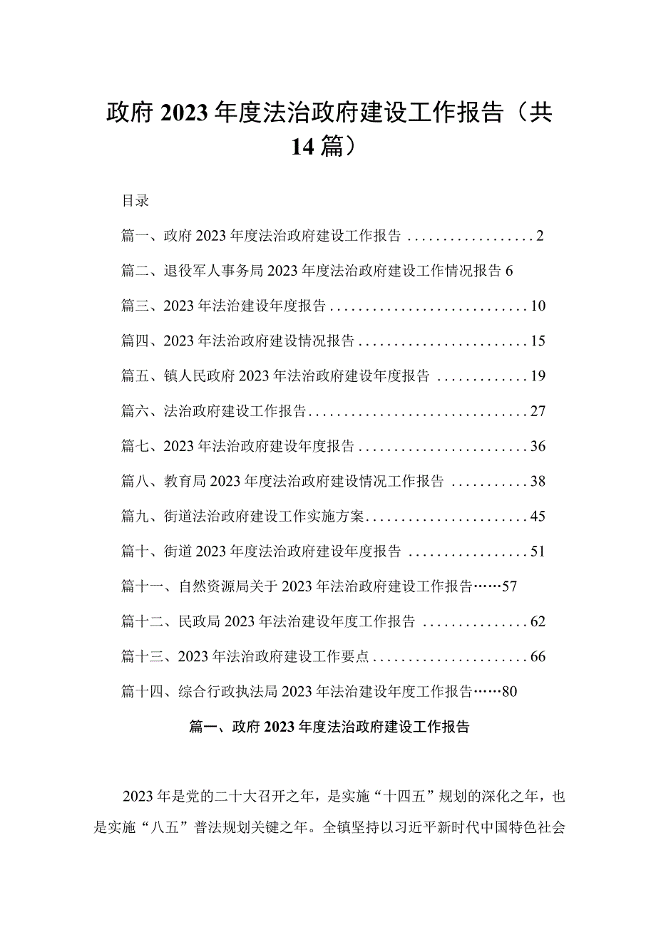 政府2023年度法治政府建设工作报告（共14篇）.docx_第1页