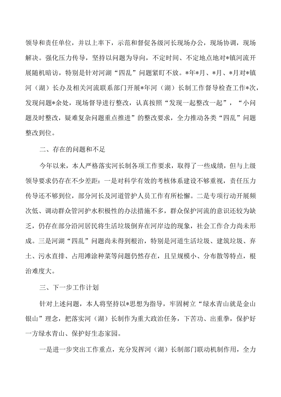 公安河湖长述职总结.docx_第3页